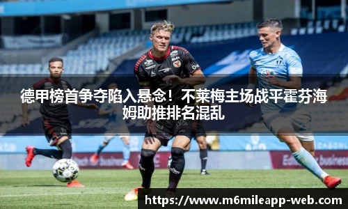 m6米乐体育