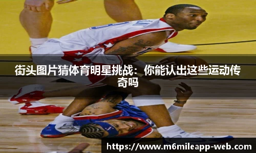 m6米乐体育