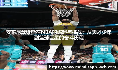 m6米乐体育